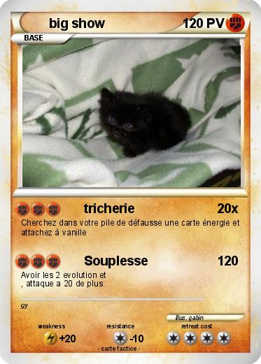 Pokemon big show
