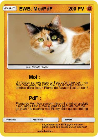 Pokemon EWB: Moi/PdF