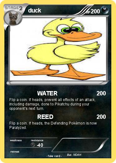 Pokemon duck