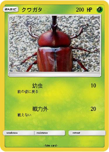 Pokemon クワガタ