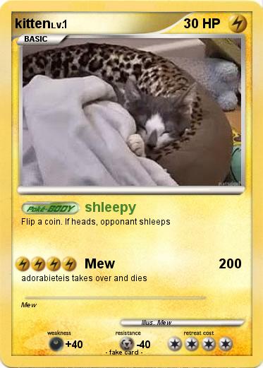 Pokemon kitten