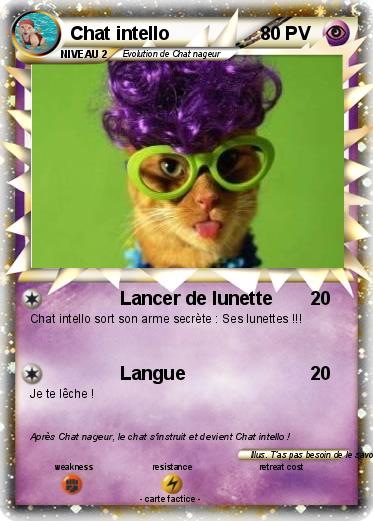 Pokemon Chat intello