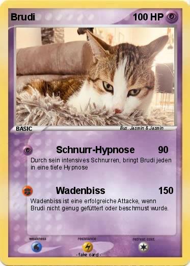 Pokemon Brudi
