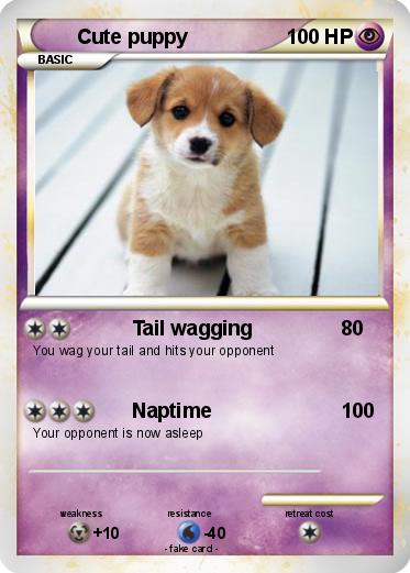 Pokemon Cute puppy