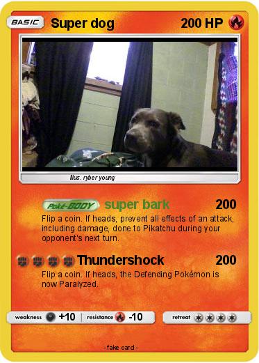 Pokemon Super dog