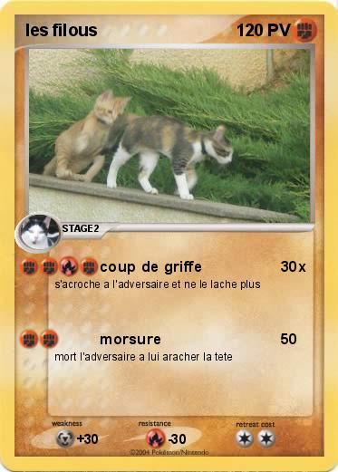 Pokemon les filous