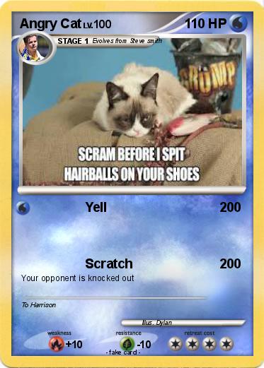 Pokemon Angry Cat