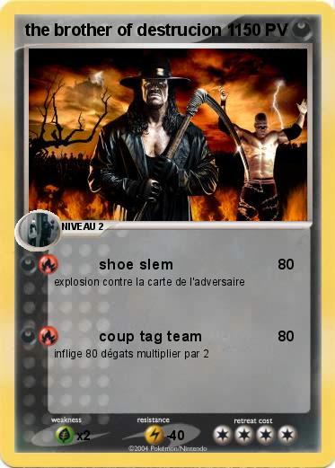 Pokemon the brother of destrucion 1