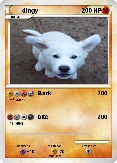 Pokemon dingy
