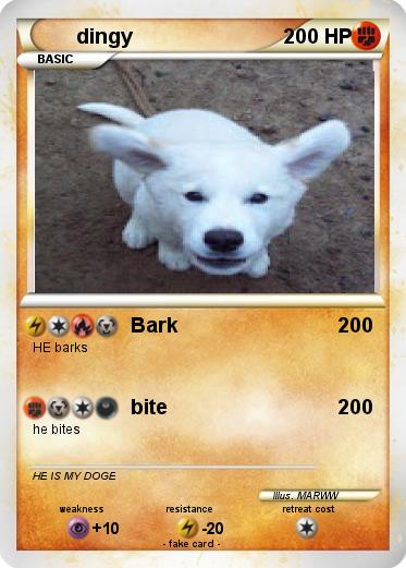 Pokemon dingy