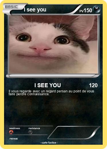Pokemon I see you