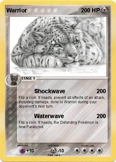 Pokemon Warrior