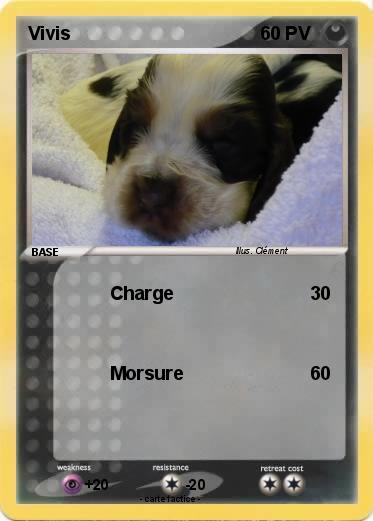 Pokemon Vivis