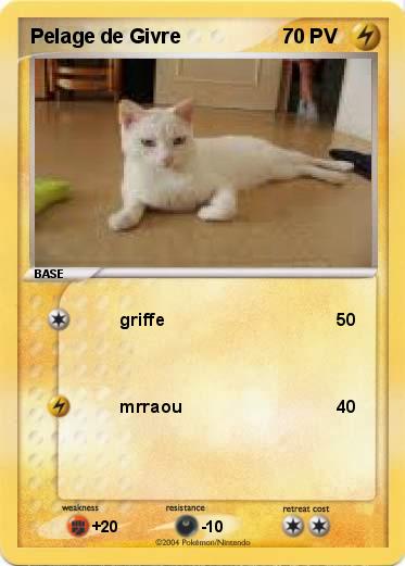 Pokemon Pelage de Givre