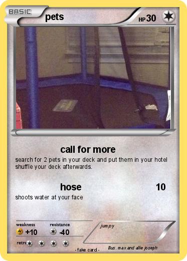 Pokemon pets