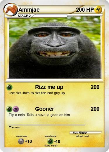 Pokemon Ammjae