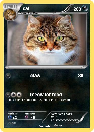 Pokemon cat