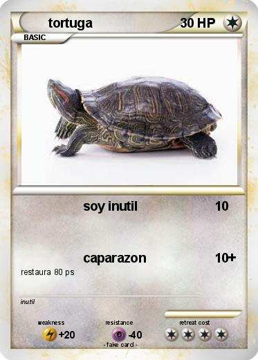 Pokemon tortuga