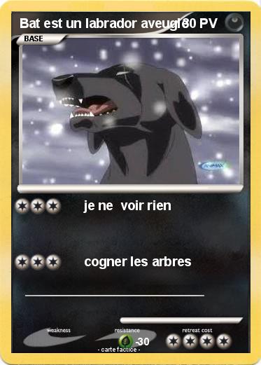 Pokemon Bat est un labrador aveugle