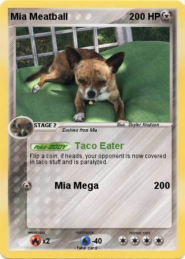Pokemon Mia Meatball