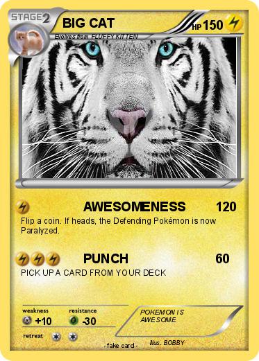Pokemon BIG CAT