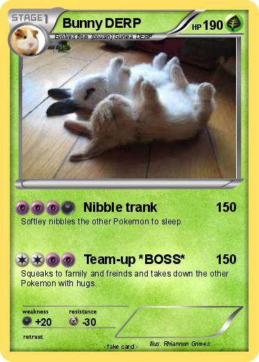 Pokemon Bunny DERP