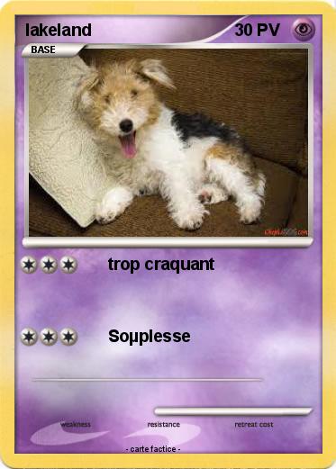 Pokemon lakeland