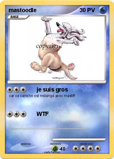 Pokemon mastoodle