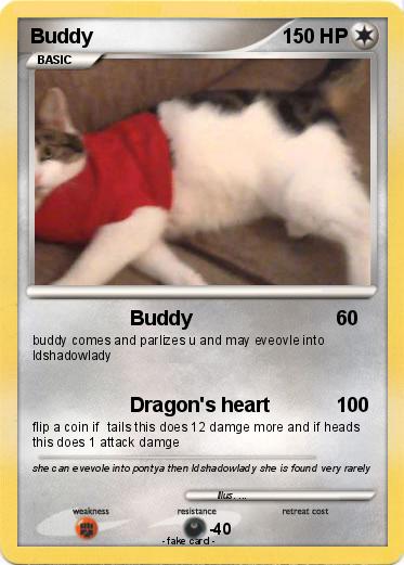 Pokemon Buddy
