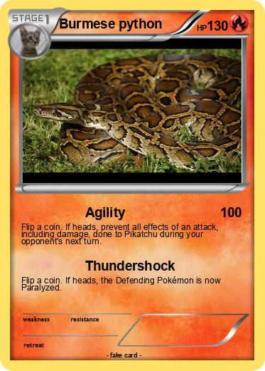 Pokemon Burmese python