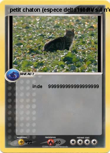 Pokemon  petit chaton (espece delta meme s'il n'est pas du meme type son vrai type est le type incolore petit chat perdu dans un chanp son mettre l'a abandonne )il a 4 ans parce qu'il a fait une betise (meme si se n'est pas la meme evolution de kiogre qui a l'evo