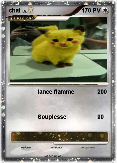Pokemon chat