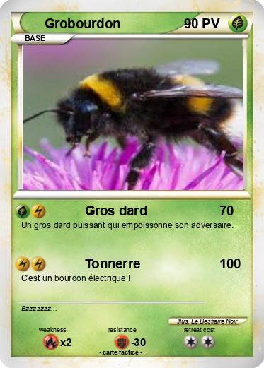 Pokemon Grobourdon