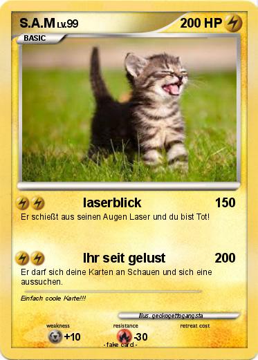 Pokemon S.A.M