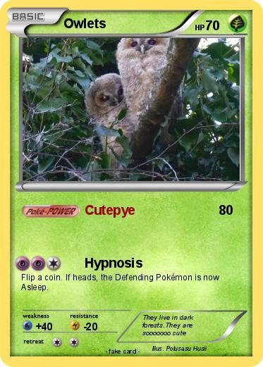 Pokemon Owlets