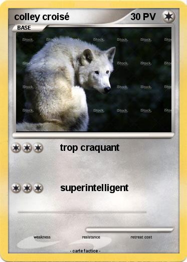 Pokemon colley croisé