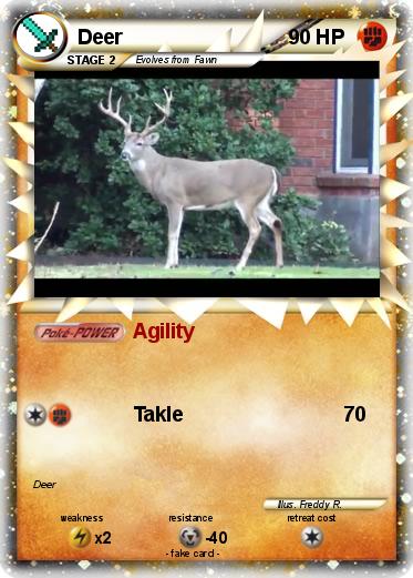 Pokemon Deer