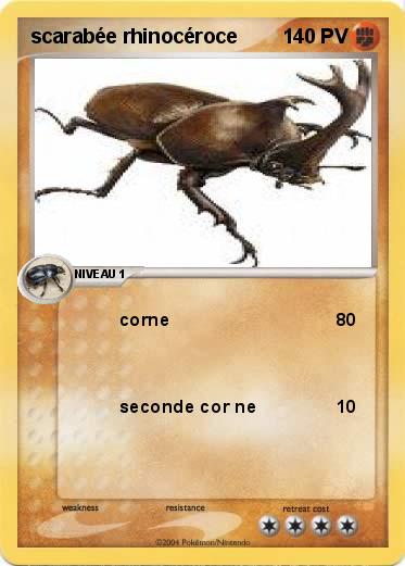 Pokemon scarabée rhinocéroce