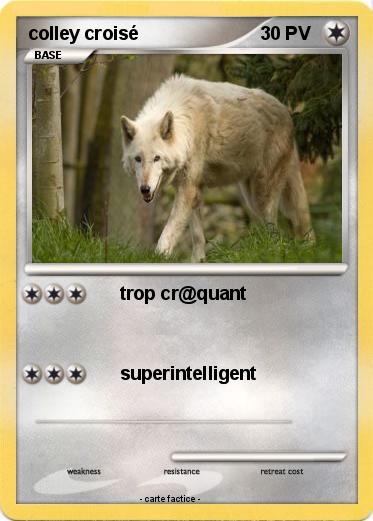 Pokemon colley croisé