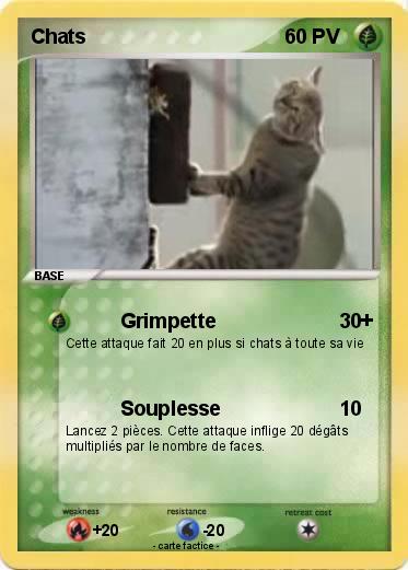 Pokemon Chats