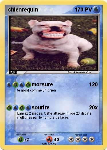 Pokemon chienrequin