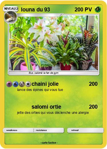 Pokemon louna du 93