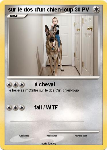 Pokemon sur le dos d'un chien-loup