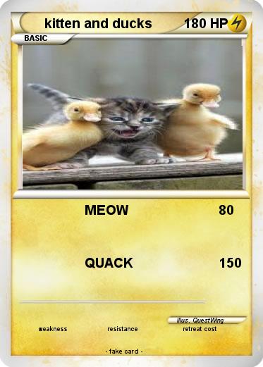 Pokemon kitten and ducks