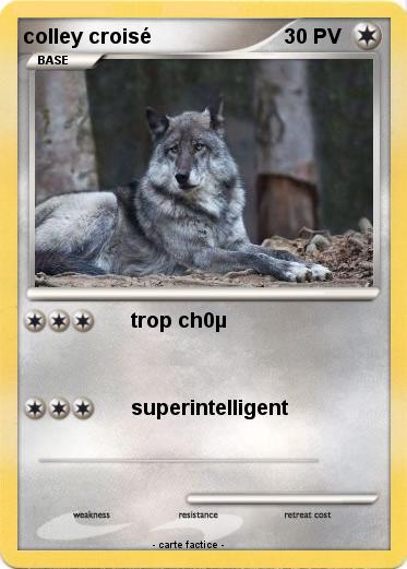 Pokemon colley croisé