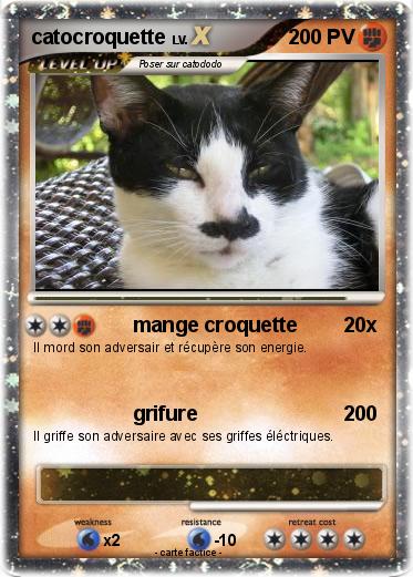 Pokemon catocroquette