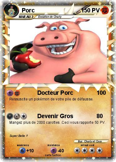 Pokemon Porc