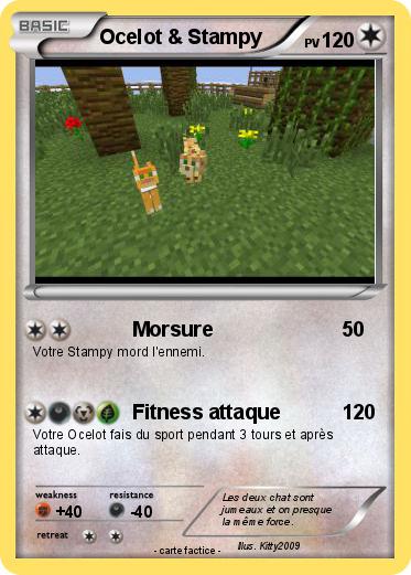 Pokemon Ocelot & Stampy