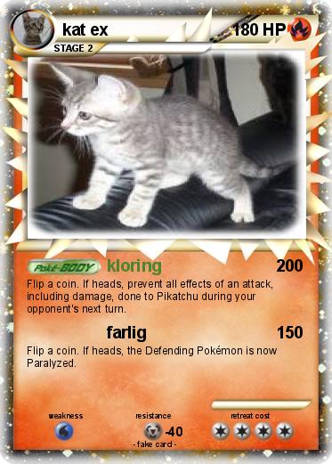 Pokemon kat ex