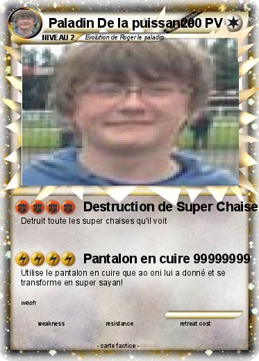 Pokemon Paladin De la puissance